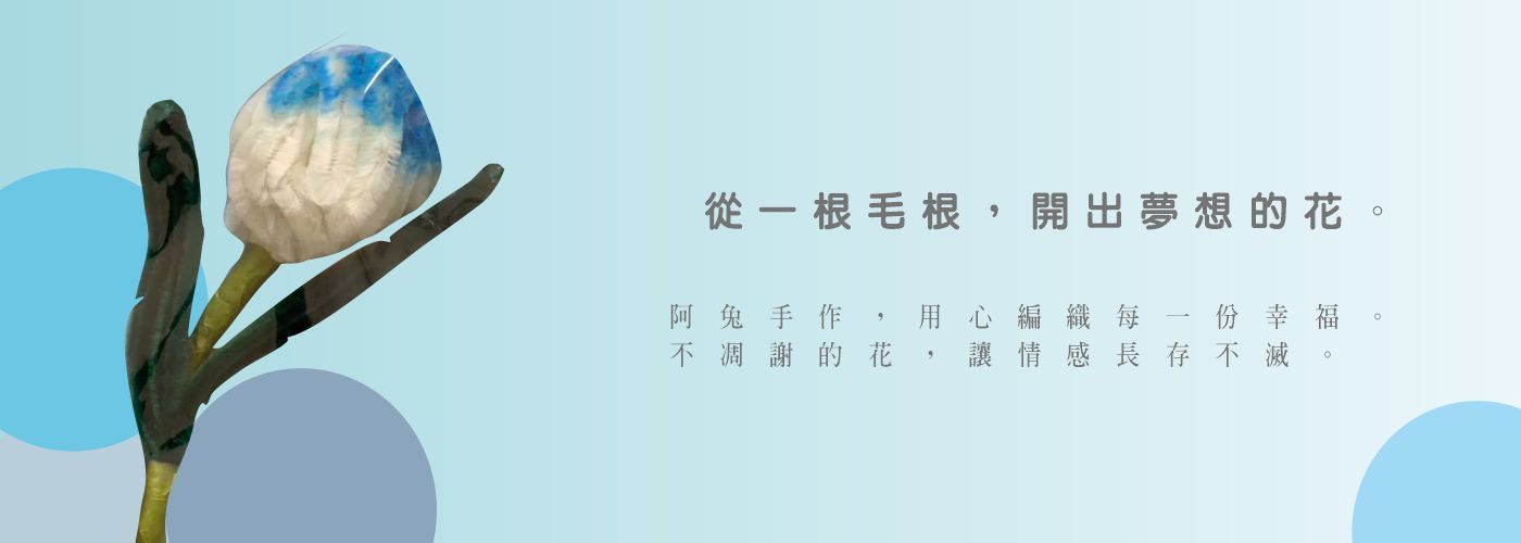 藍色毛根花